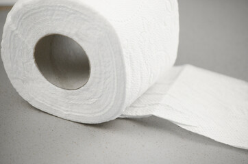 toilet paper roll
