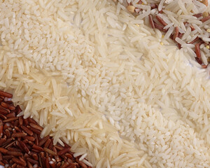 Varity mix long grain basmati medium grain jasmine short grain pilaf risotto brown low glycaemic index GI rice in rows top view