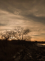 sunset in the desert