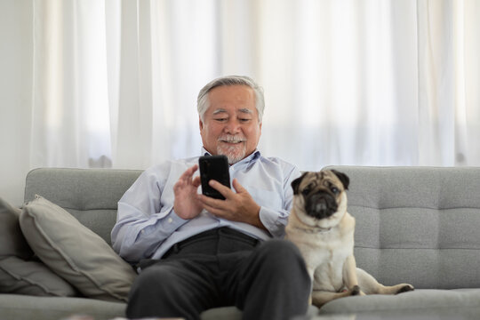 Happiness Elderly Asian Man Sitting On Sofa And Using Mobile Phone And Smile With Dog Pug Breed At Home,Portrait Of Senior Man Enjoying Retirement At Home Concept