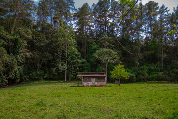 casa rural de madera vieja en medio del campo con arboles altos y montaña al fondo, vida en el campo, jarabacoa republica dominicana