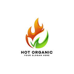 Leaf fire gradient colorful logo template