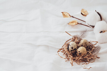 Cotton, Easter quail eggs, feathers on a white background. Easter beautiful composition, postcard. Easter concept, background, copy space