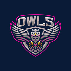 Owl mascot logo design illustration