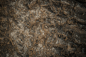Soil. Ground texture. Soil background. Abstract nature pattern. Autumn