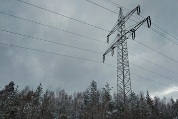 strommast mit kabeln im wald