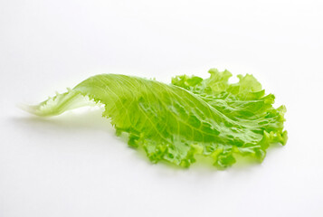 a leaf of green lettuce lies on a white background close-up. Selective focus