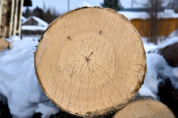 cross-section of pine, sawn wood