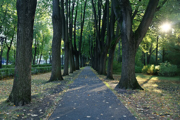 summer park landscape / seasonal view, green trees in summer, concept nature walk, ecology, eco