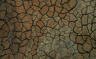 Climate change and drought land. Water crisis. Arid climate. Crack soil. Nature disaster. Dry soil texture background. Dry, cracked skin, and eczema concept. Global warming cause of polar vortex.