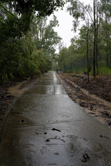 A path gets a drenching from the rain