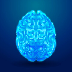 Upper surface of the cerebrum in 3D cool tone