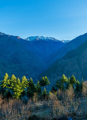 Fototapeta premium A mountain valley, Pekhri, Tirthan Valley, Himachal Pradesh, India