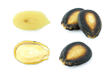 watermelon seed dry isolated on white background