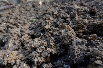 close and details loose soil