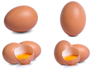 collection mix set egg isolated on white background