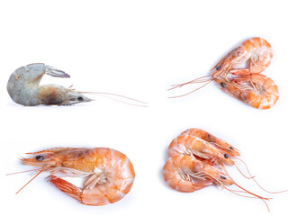 collection mix set red shrimp isolated on white background