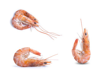 collection mix set red shrimp isolated on white background
