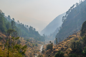 Obraz premium A mountain valley, Pekhri, Tirthan Valley, Himachal Pradesh, India