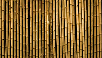 golden wood bamboo wood background