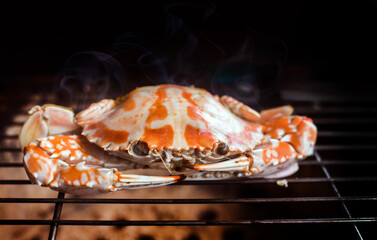 crab grill on barbecue net from hot coal