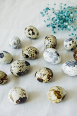 small spotted quail eggs scattered on beige cloth and bouquet of dried blue gypsophila flowers. spring still life, vertical, selective focus
