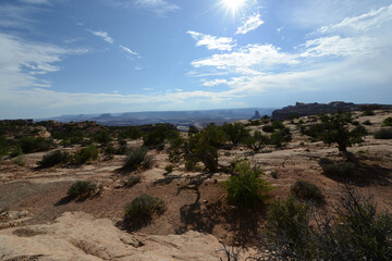 Scenic view of the landscape, with shrubs and trees near the rim of Canyonlands National Park in Utah