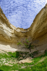 Canyon 