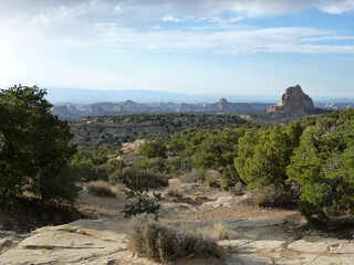 Scenic view of the trees and shrubs along the rim of Canyonlands National Park in Utah