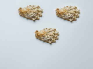 Empty sink of sea mollusk. Carbonate shell.