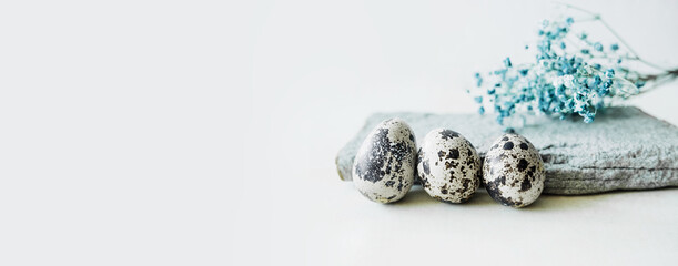 long format easter banner, small spotted quail eggs with natural gray stone and dry blue gypsophila flowers on light background. natural eco-friendly decor for Easter. selective focus