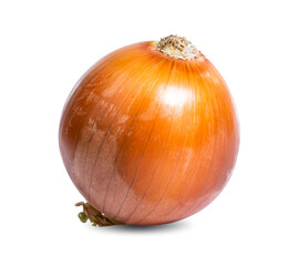 onion isolated on white background