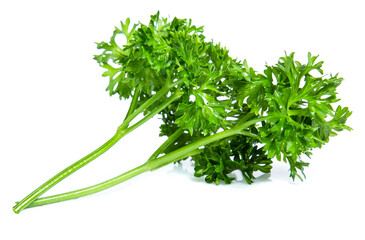 Parsley isolated on white background