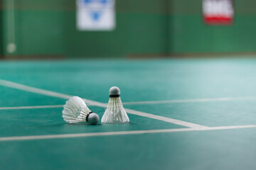 Badminton shuttlecocks at badminton courts.
