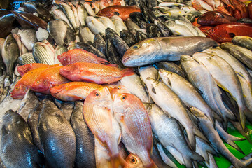 Fototapeta premium Fresh raw Fish at the fish market