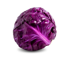 Obraz premium red cabbage vegetable isolated on white background