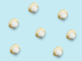 Empty sink of sea mollusk. Carbonate shell.