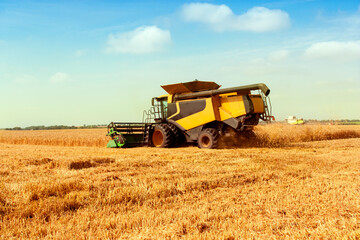 Beautiful countryside landscape .Combine harvester on a wheat field.