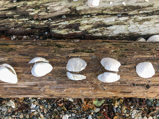 Cama Beach State Park