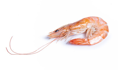 clipping path shrimp isolated on white background