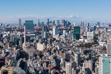 Obraz premium Beautiful scene of Tokyo skyline. Tokyo, Japan.