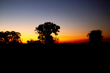 Fototapeta na wymiar Panorama of the landscape in the Pantanal during sunset