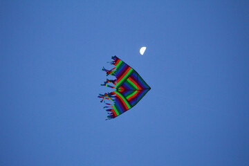 kite in the sky