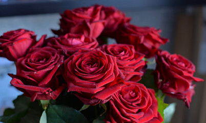 A bouquet of scarlet roses on a dark background. Many flowers. View from above 
