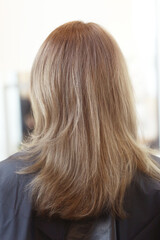 light brown long loose hair closeup photo in hair salon back view