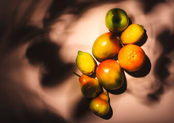 Summer fruits top view. Contemporary still life, pale pink background, hard light and leaves shadow pattern