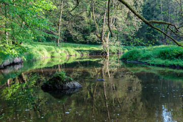 sch&ouml;ner Idyllischer Flusslauf, Waldnaabtal, Blockh&uuml;tte