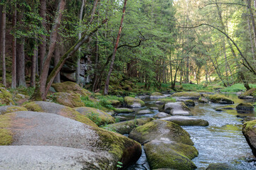 Obraz premium schöner Idyllischer Flusslauf, Waldnaabtal, Blockhütte