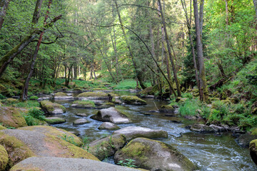 schöner Idyllischer Flusslauf, Waldnaabtal, Blockhütte