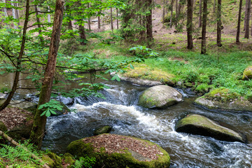 schöner Idyllischer Flusslauf, Waldnaabtal, Blockhütte